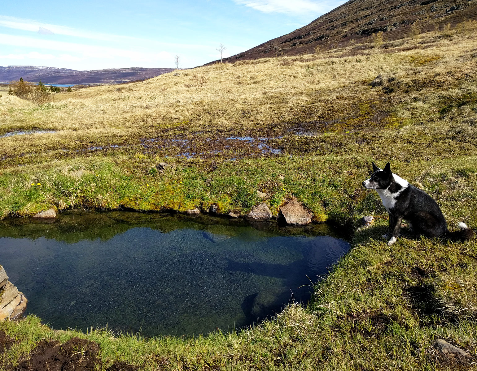 Hot Spring pool in the Westfjords, Iceland