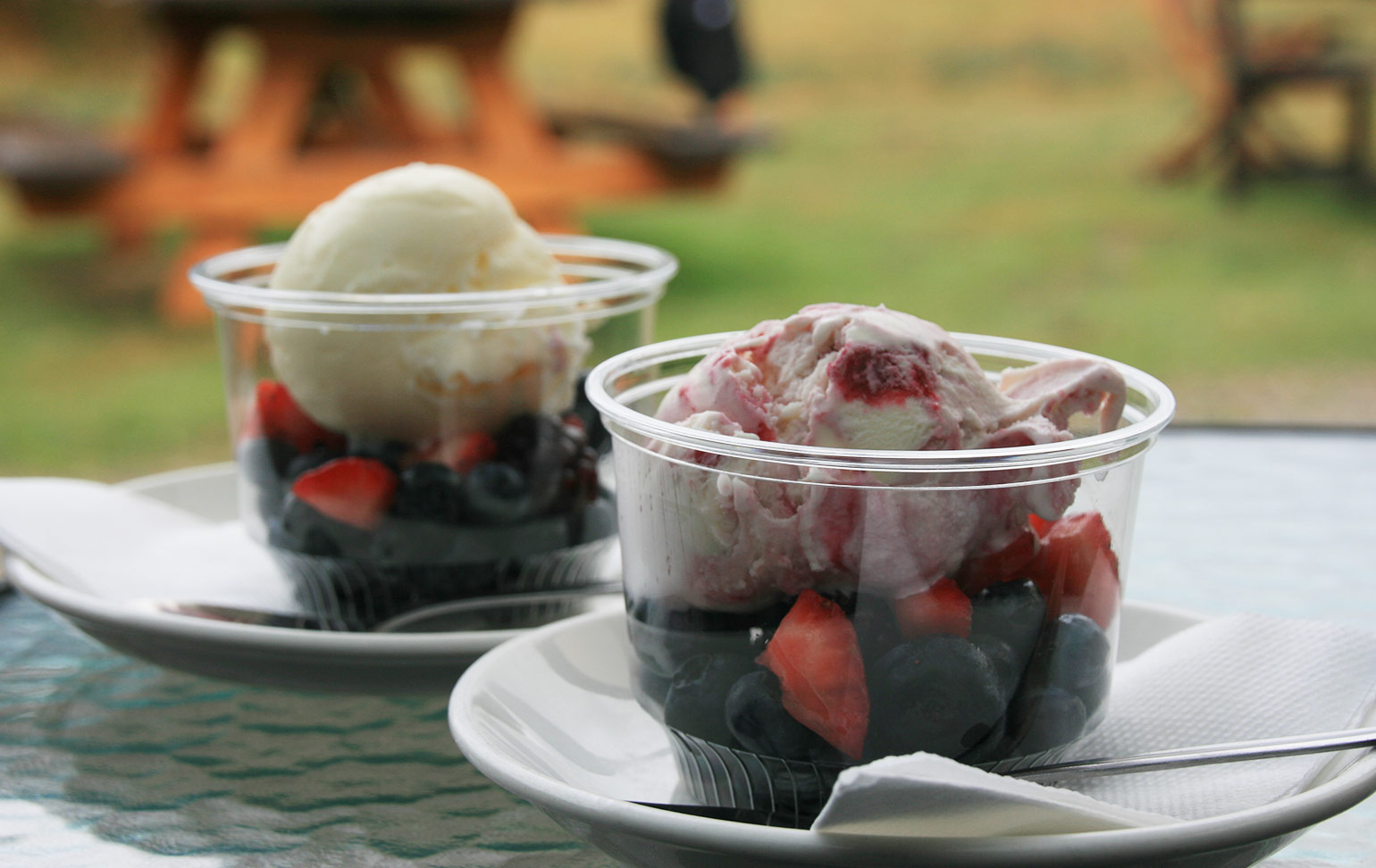 Bruny Island Berry Farm