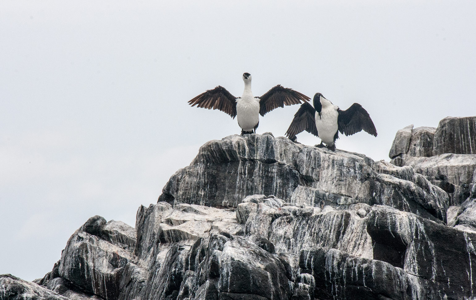 Pennicott Wilderness Tours, Bruny Island