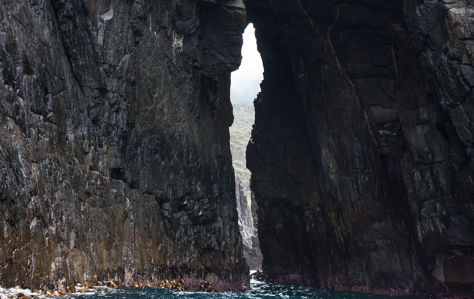 Pennicott Wilderness Tours, Bruny Island