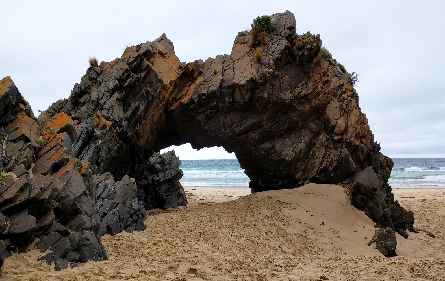 Cape Queen Elizabeth Track, Bruny Island