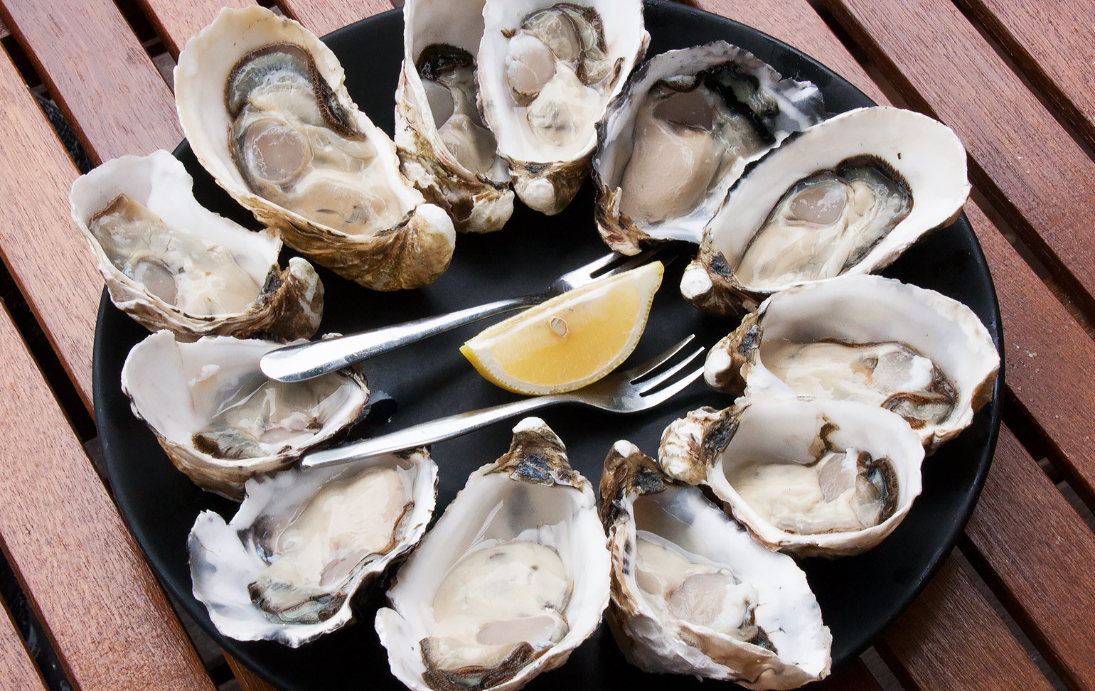Get Shucked, Bruny Island
