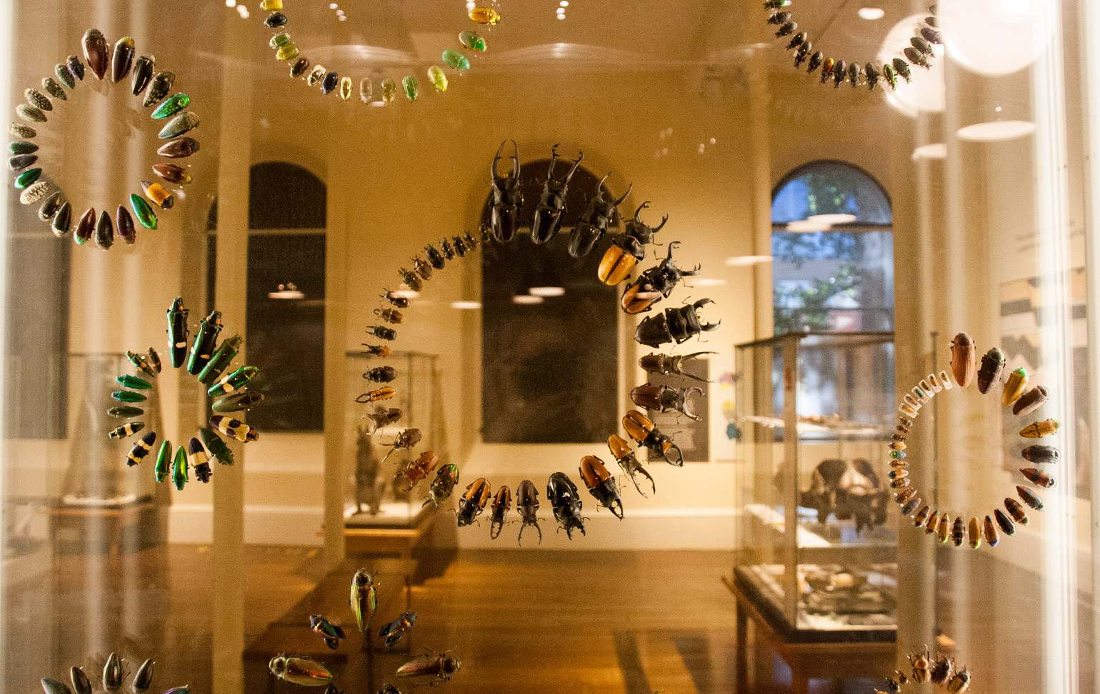 Tasmanian Museum & Art Gallery