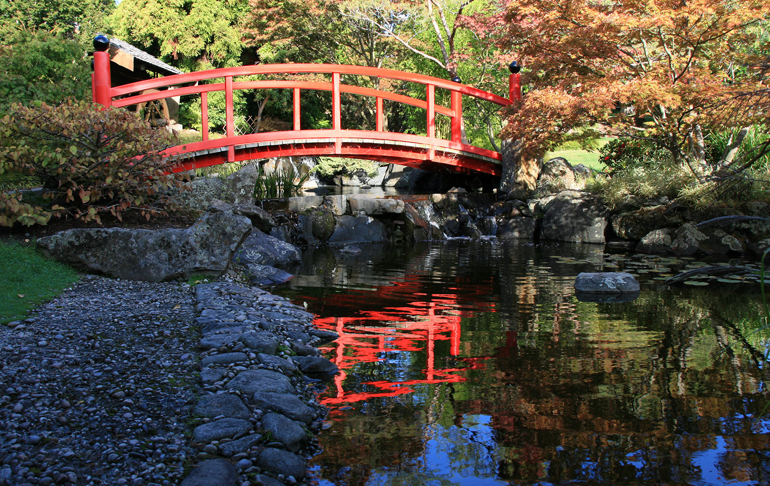 Hobart Botanical Garden