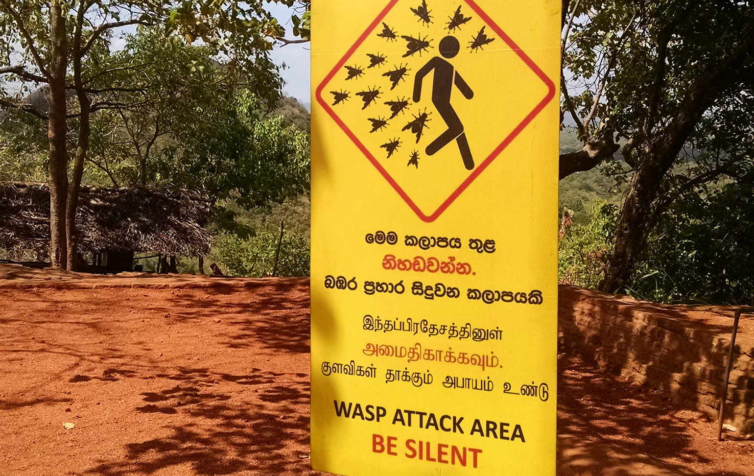 Wasp attack area, Sigiriya