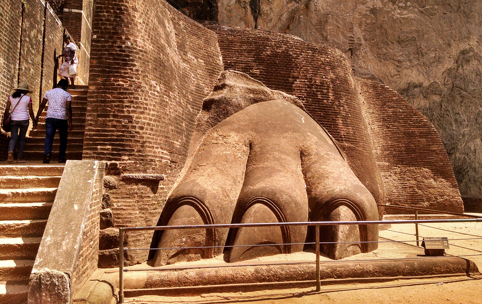 Lion's paw, Sigiriya