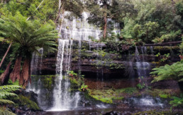 Russell Falls, Tasmania
