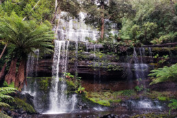 Russell Falls, Tasmania