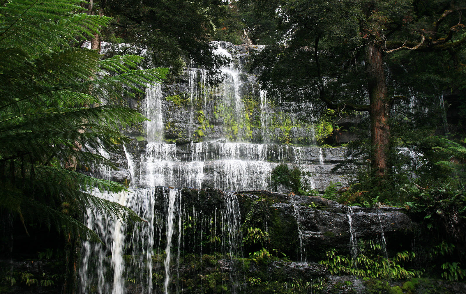 Russell Falls, Tasmania