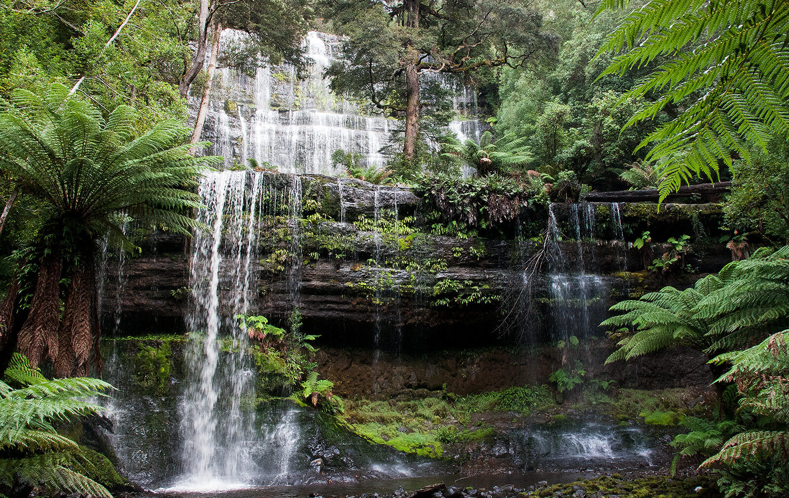 Russell Falls, Tasmania