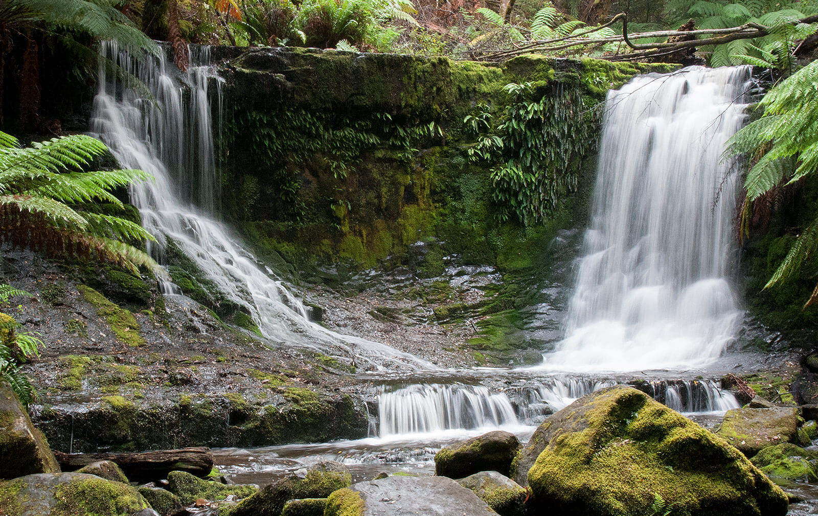Horseshoe Falls, Tasmania