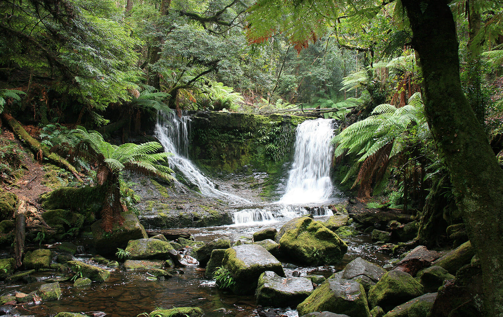 Russell Falls & Horseshoe Falls, Tasmania – Ceol Travels