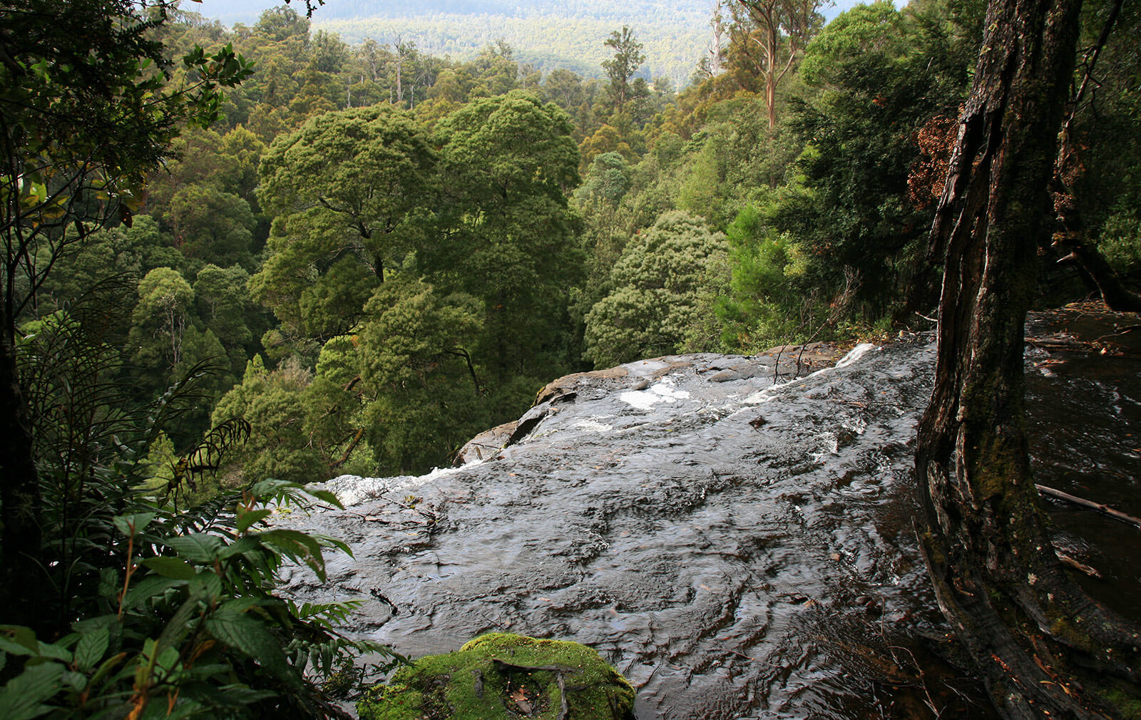 Top of Russell Falls