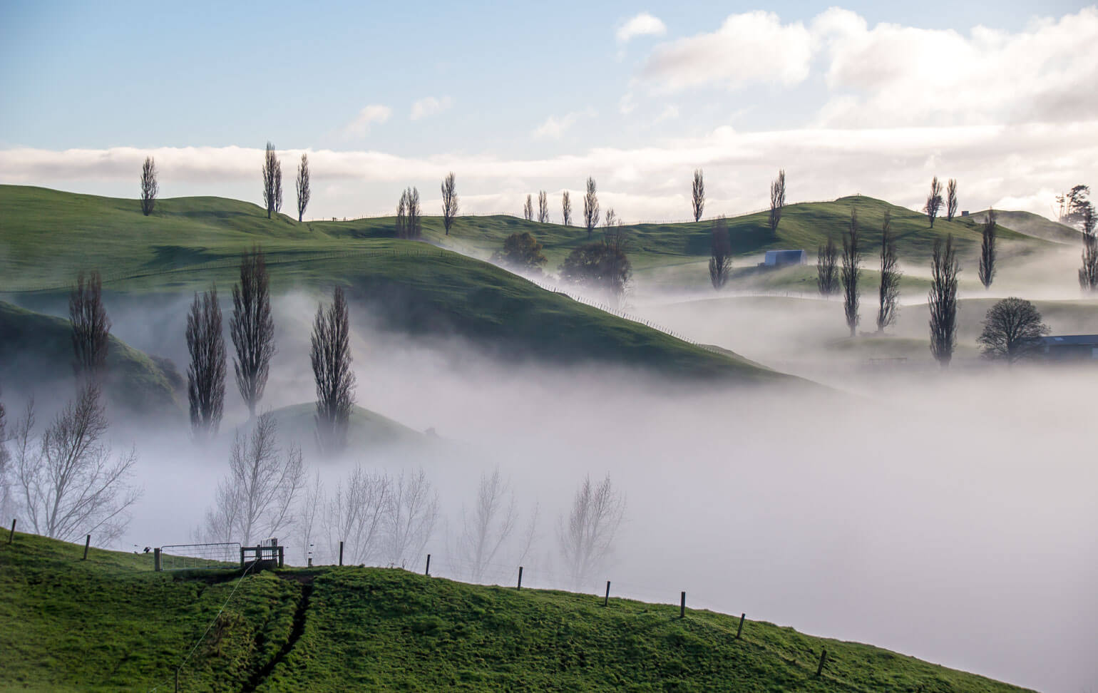 Scenery near Matamata, NZ