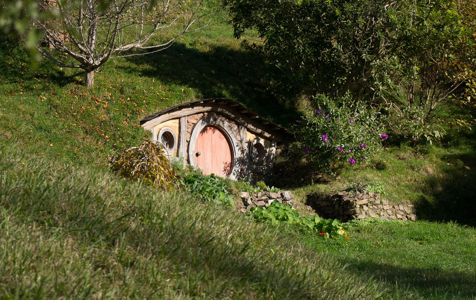 A Hobbit hole in Hobbiton