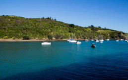 Waiheke Island