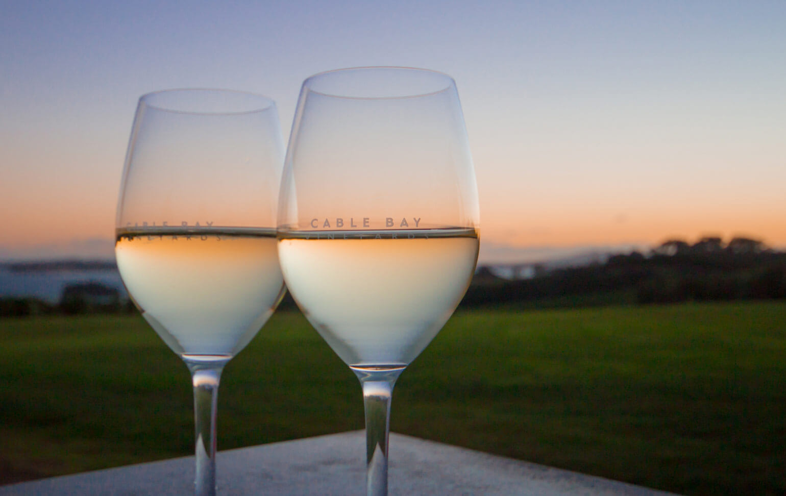 Cable Bay Vineyard, Waiheke Island