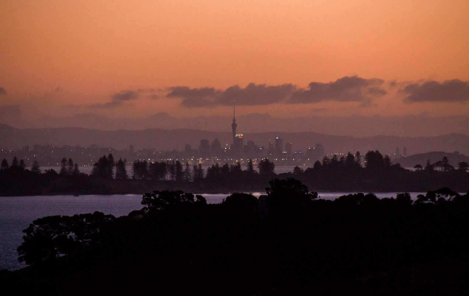 A view of Auckland from Cable Bay Vineyard