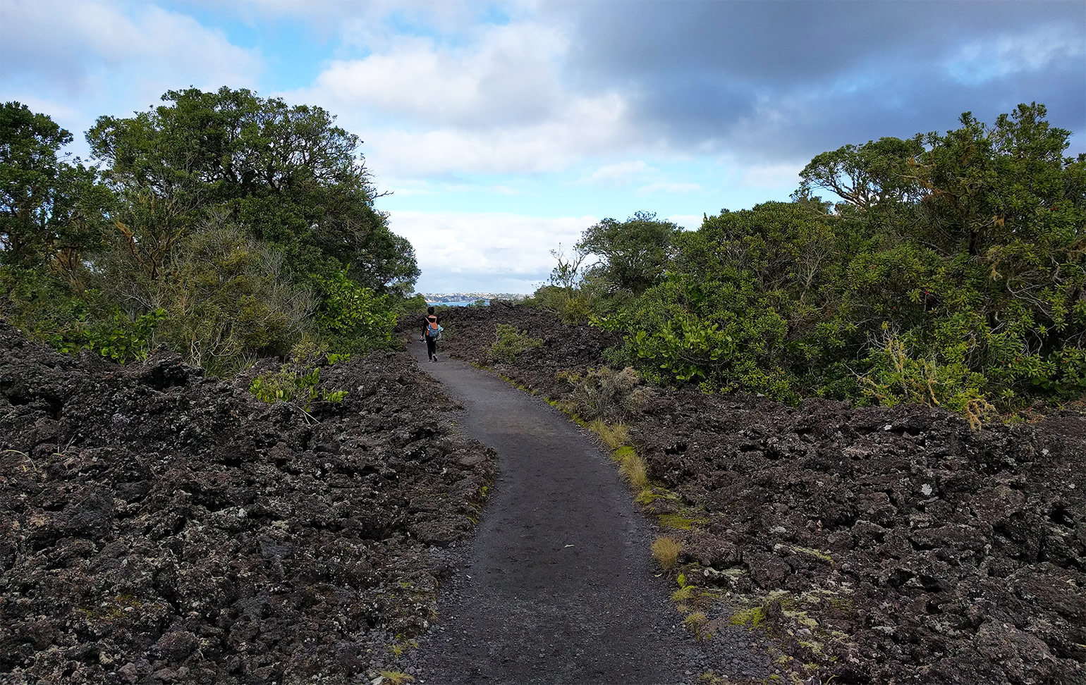 Rangitoto path