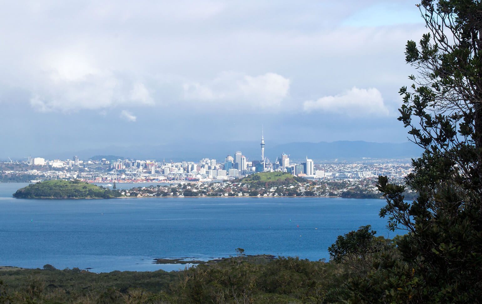 Rangitoto Island