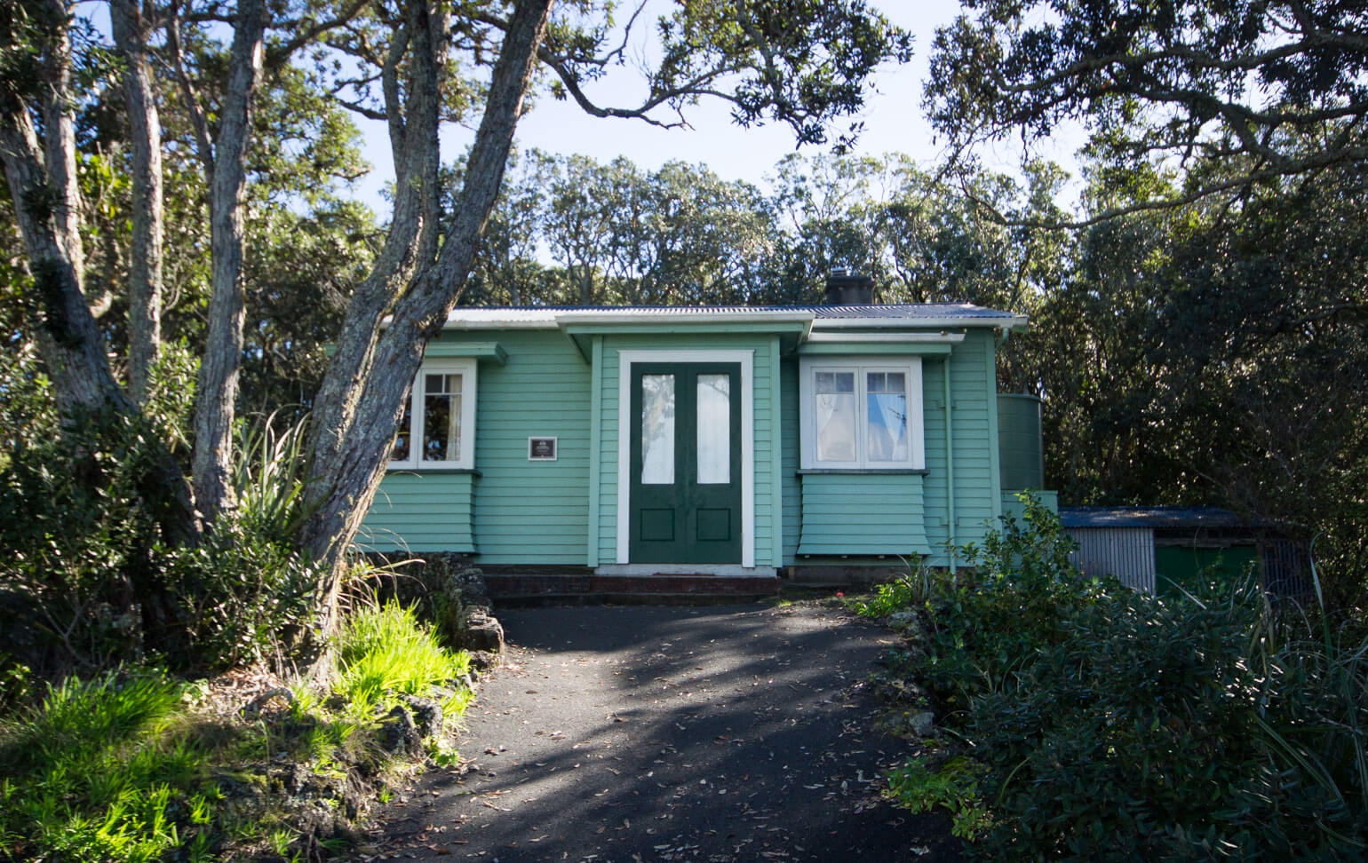 Bach on Rangitoto Island