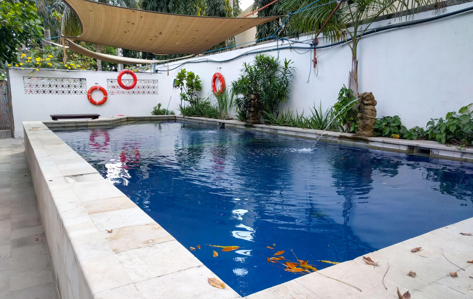 Dive Timor Lorosae Hostel and Guest House