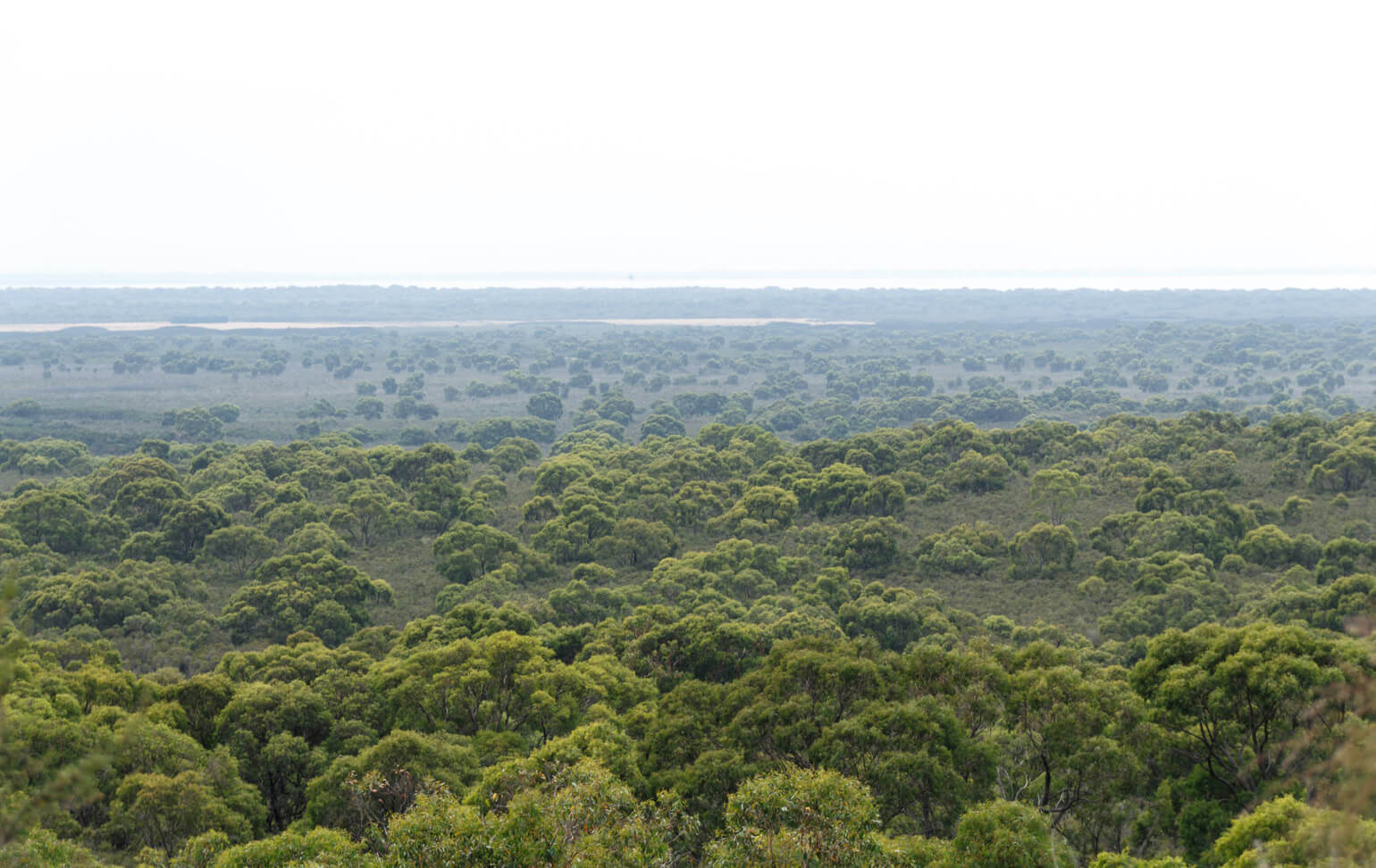 Pinnacles Lookout