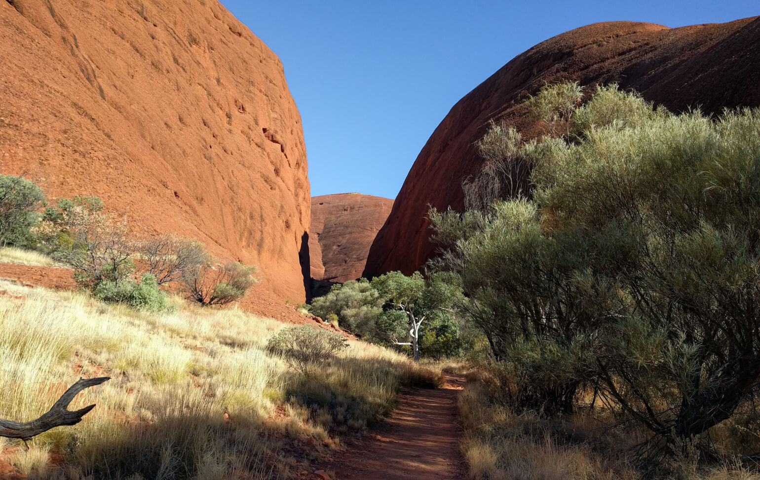 Kata Tjuta