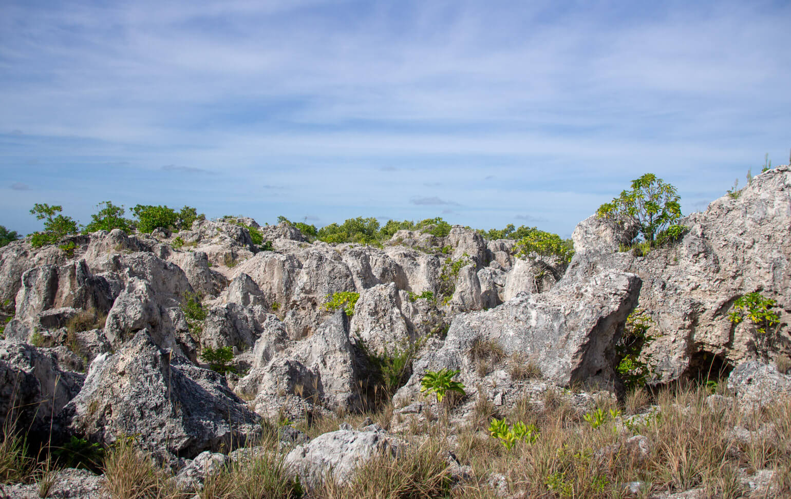 Limestone spikes, Nauru.