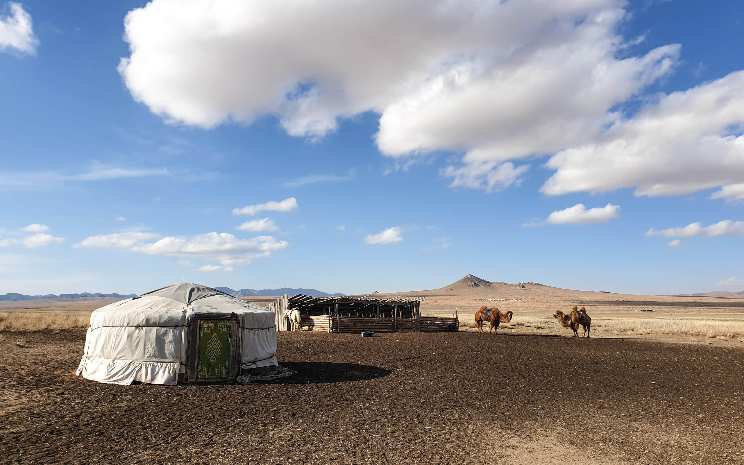 Gers and camels