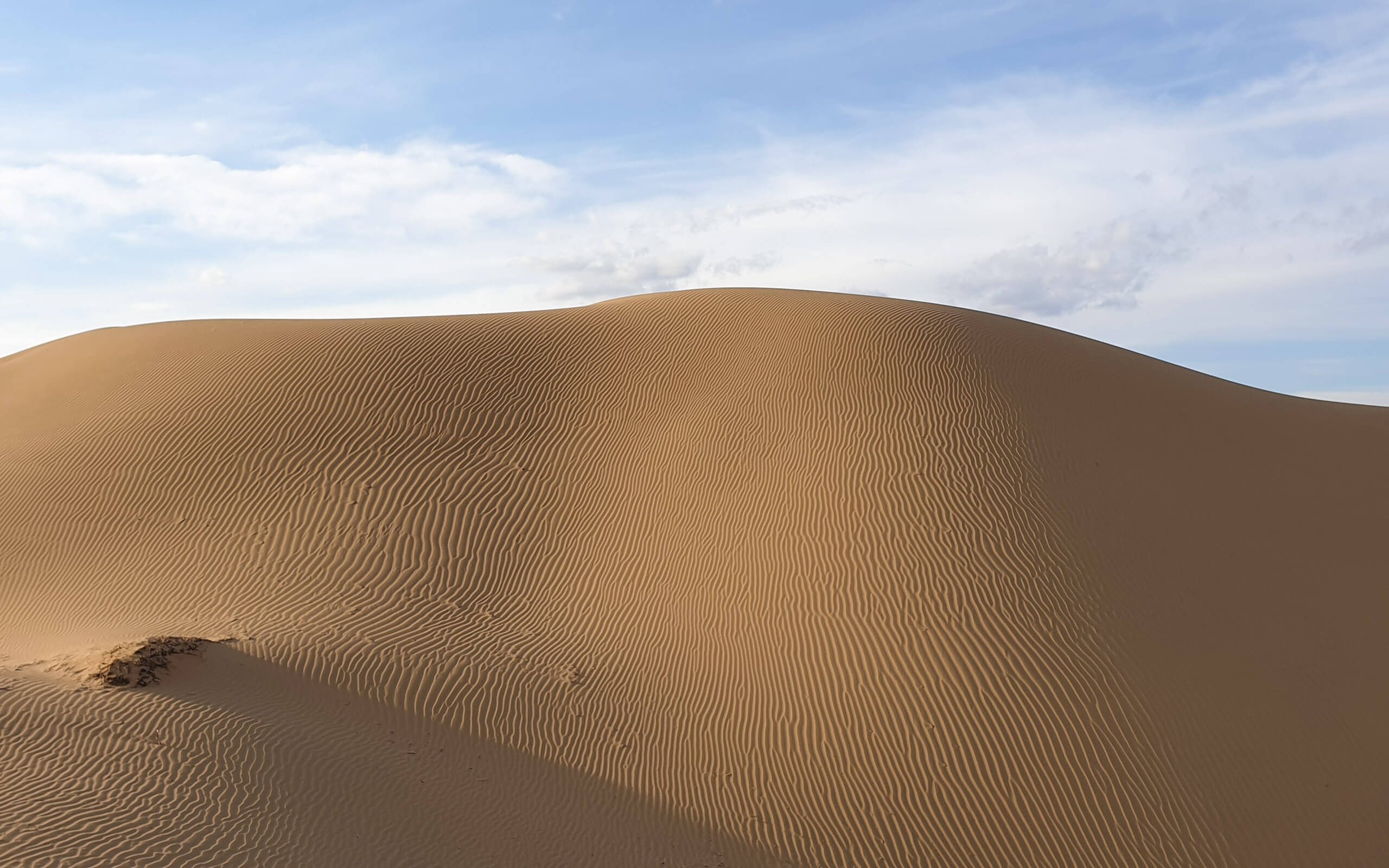 Elsen Tasarkhai sand dunes
