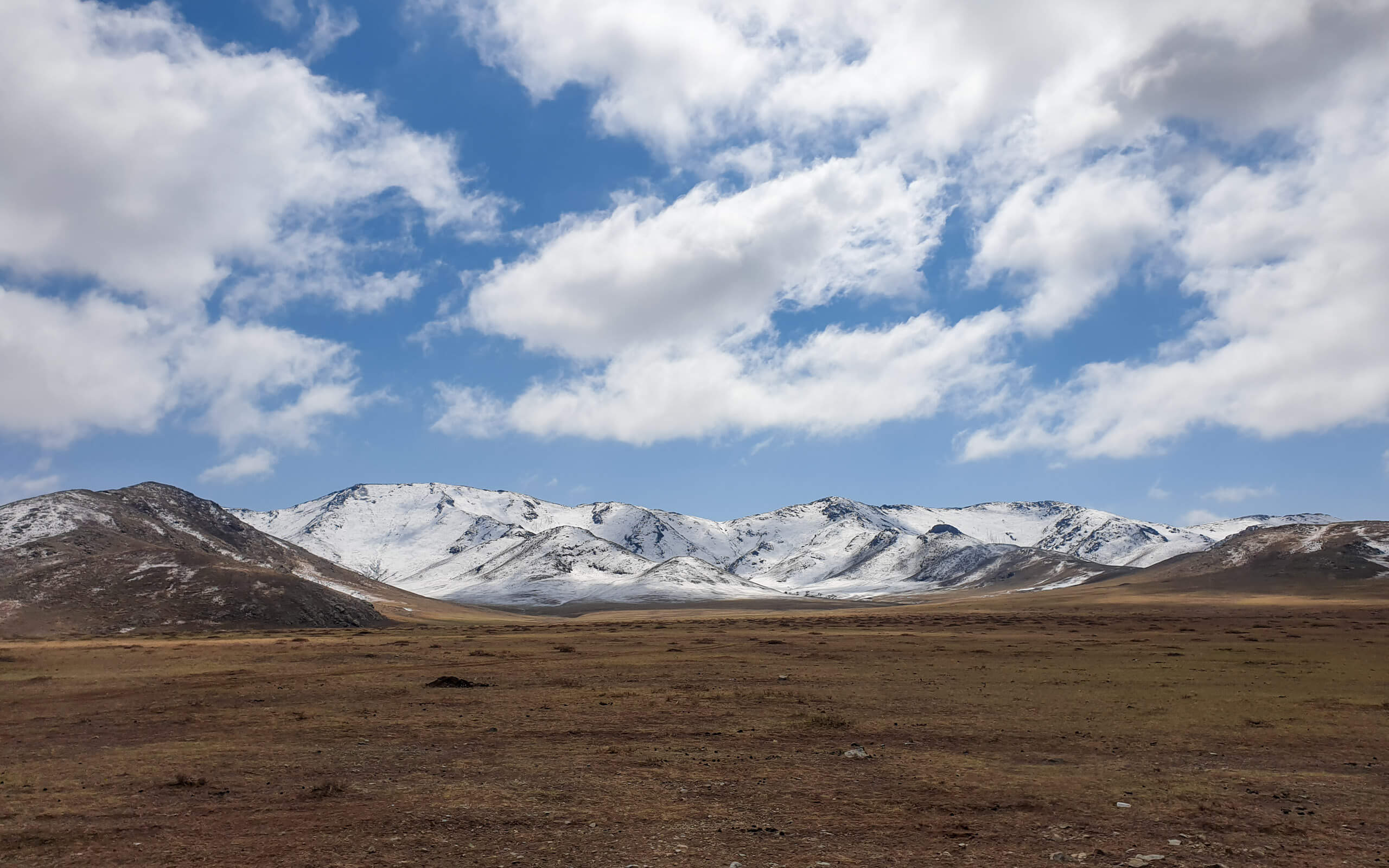 Mongolian scenery