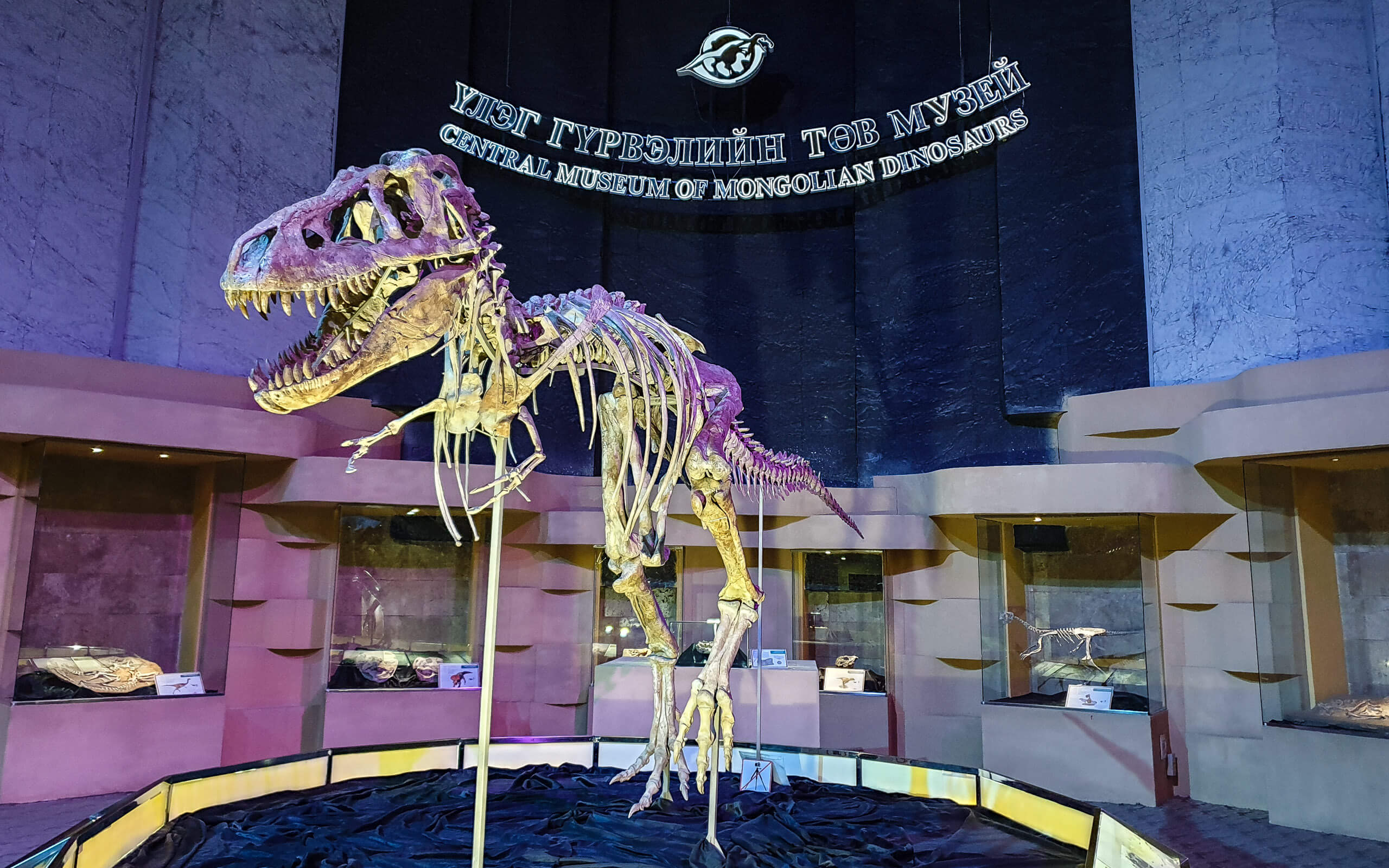 Dinosaur Museum, Ulaanbaatar