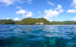 Snorkelling in the Rock Islands, Palau